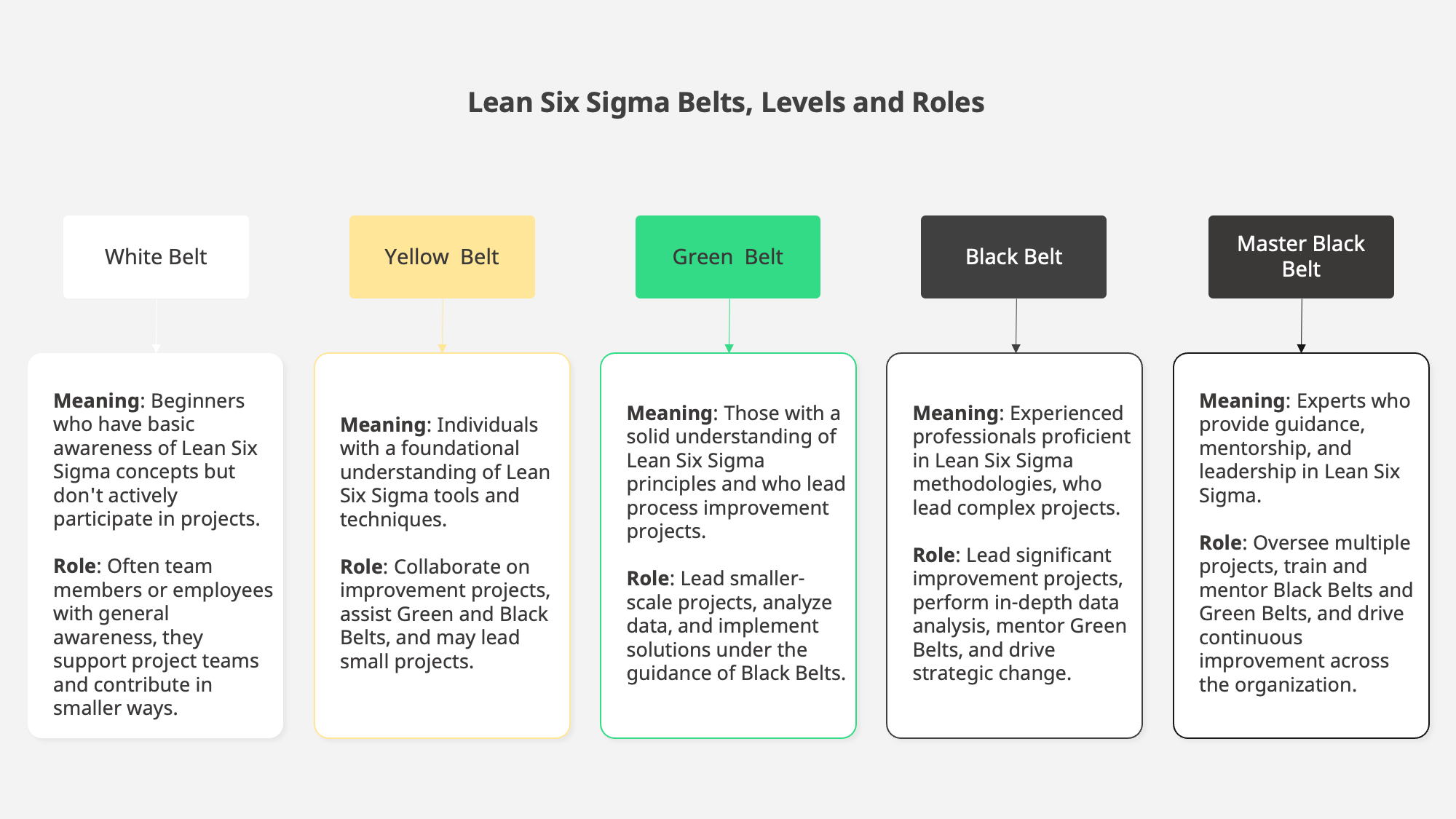 Lean six sigma outlet careers